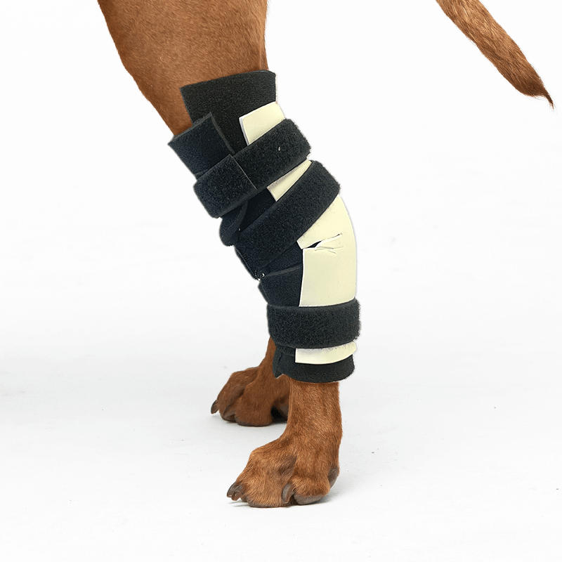 Kit attelles sur mesure mikan tarse rigide