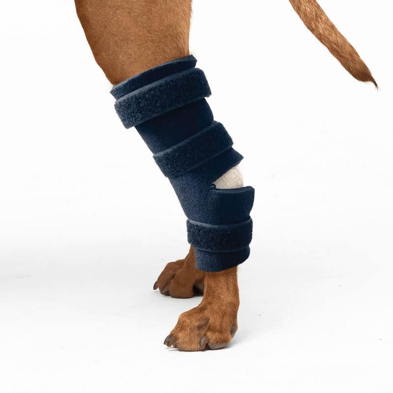 Kit attelles sur mesure mikan tarse souple ouevrte