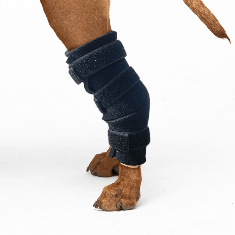 Kit attelles sur mesure mikan tarse souple fermée