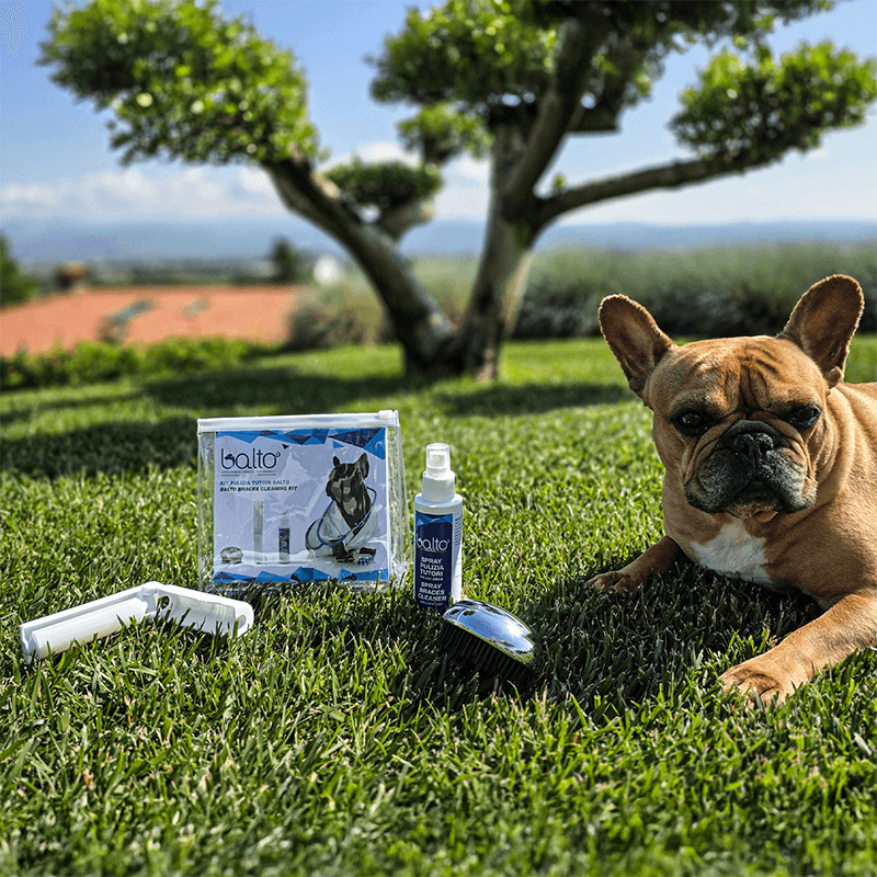 kit de nettoyage pour attelles pour animaux mikan