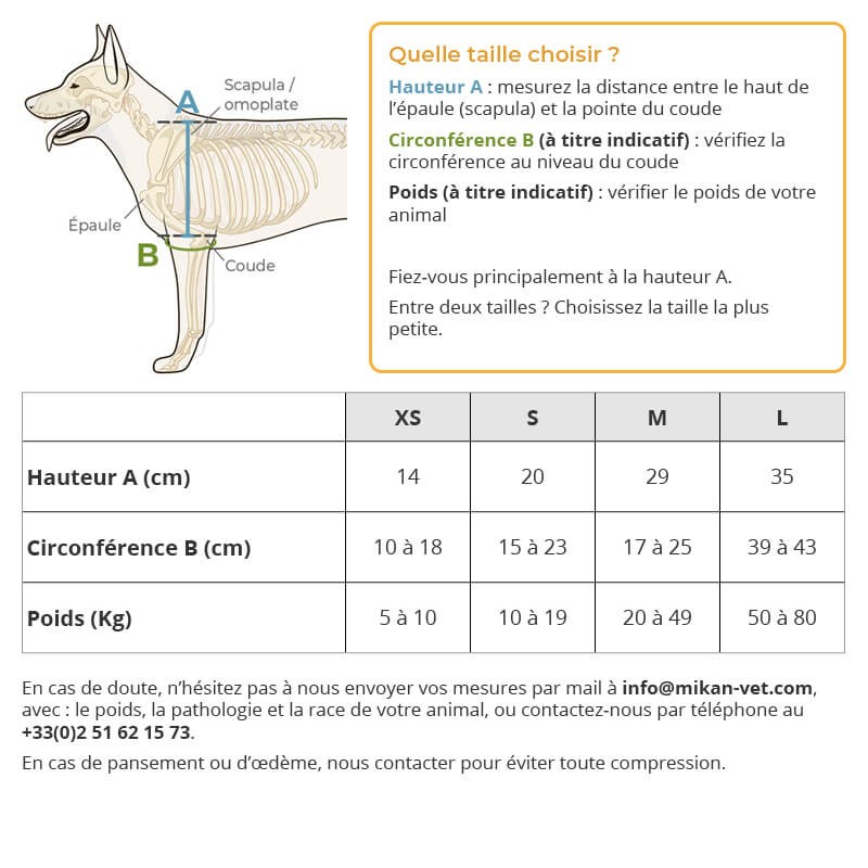 Attelle de l’épaule pour chien Balto prise de mesure