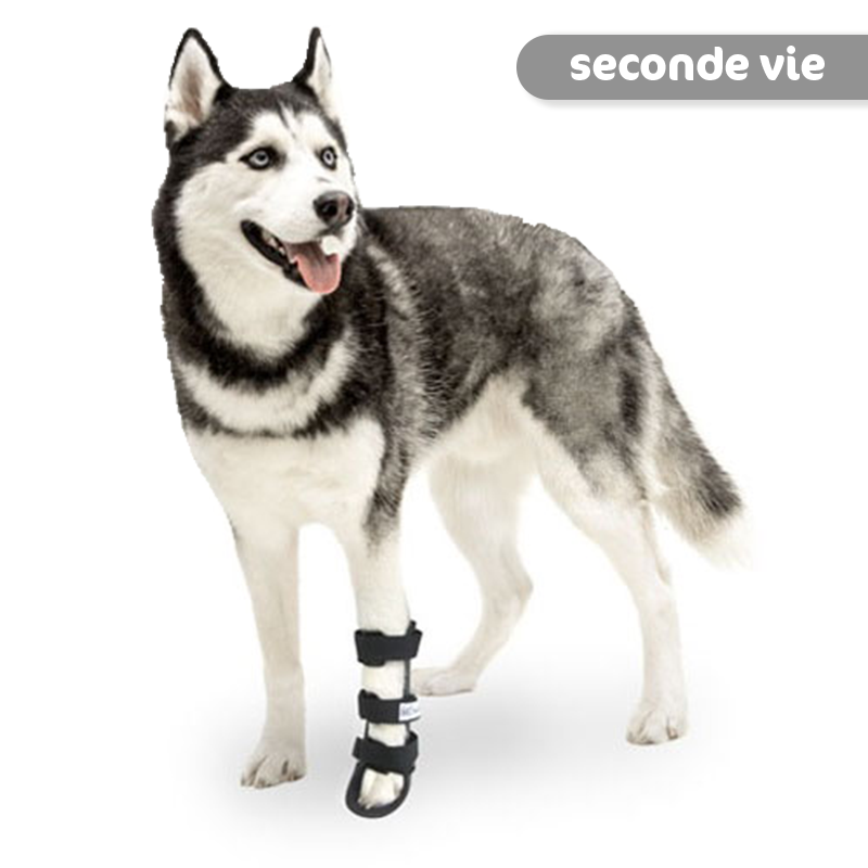Attelle rigide pour animaux d'occasion : patte avant