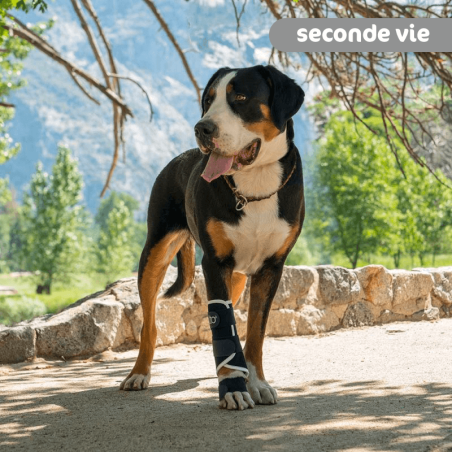 Attelle reconditionnée pour animaux métacarpe métatarse