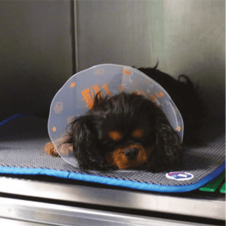 CosyPad® Tapis alvéolé hygiénique anti-escarres