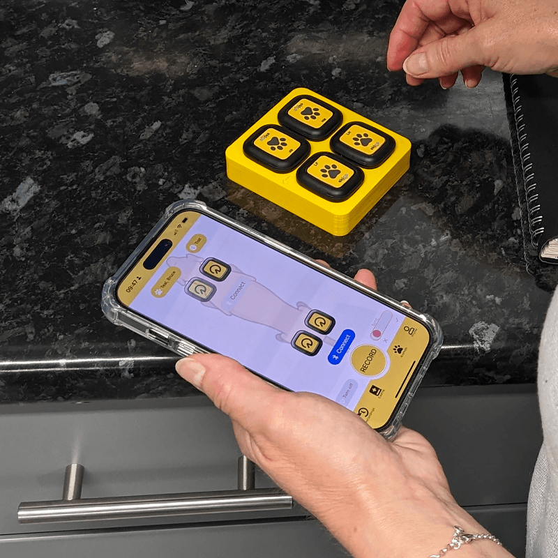 Tendiboots™ Canine : dispositif d'analyse objective de la locomotion