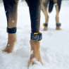 Tendiboots™ Canine : dispositif d'analyse objective de la locomotion