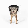 protection pour chien malvoyant ou aveugle muffin's Halo, guide harnais anti-collision
