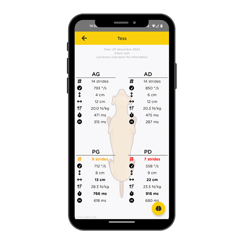 Tendiboots™ Canine : dispositif d'analyse objective de la locomotion