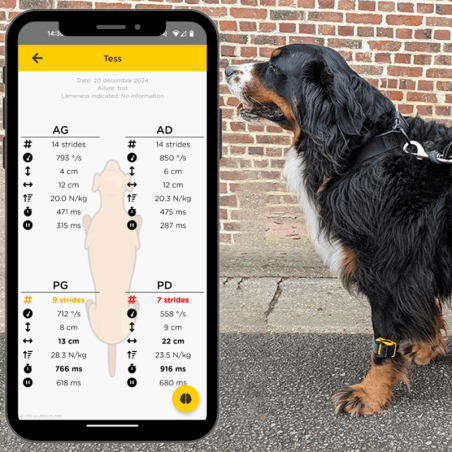 Tendiboots™ Canine : dispositif d'analyse objective de la locomotion