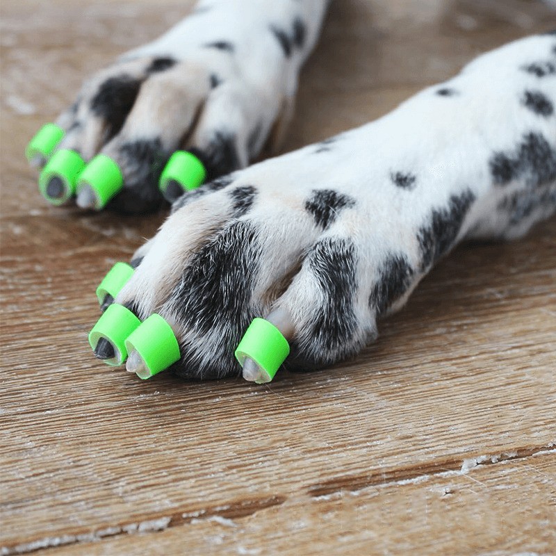 Toegrips bague antidérapante pour griffes pour chien