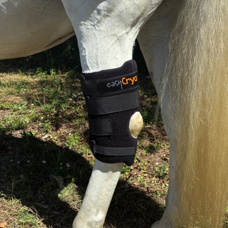 Cryothérapie compressive dynamique portative à cryopad Mikan