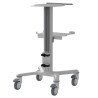 Chariot K-laser® Giro