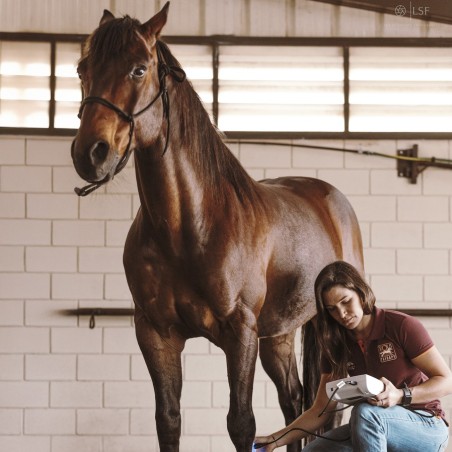 ultrason-vet-4000-mikan-chevaux