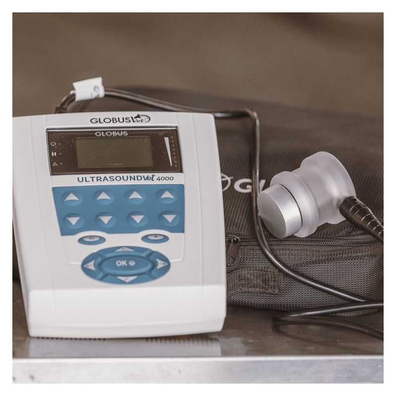 Ultrason Vet 4000 pour vétérinaires