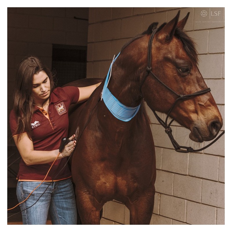 TECAR Vet 4000 chevaux