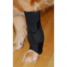 attelle-pour-chien-carpal-sur-mesure.jpg