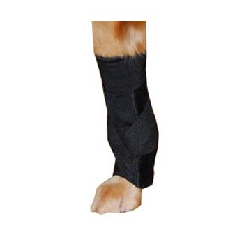attelle-pour-chien-carpal-sur-mesure.jpg