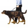 Laisse pour harnais help em up pour chien mikan