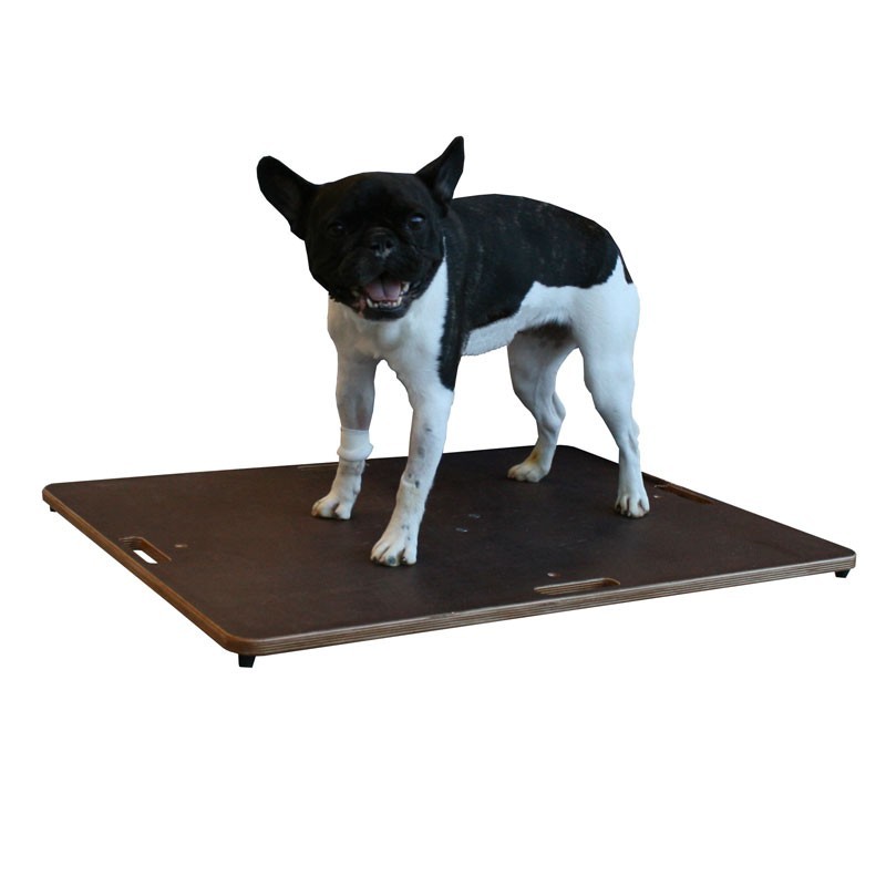 Planche d'équilibre de proprioception 3 en 1 pour animaux Planche d'équilibre de proprioception 3 en 1 pour animaux