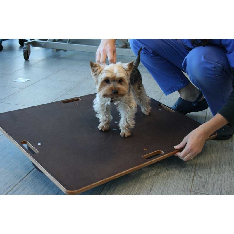 Planche d'équilibre de proprioception 3 en 1 pour animaux Planche d'équilibre de proprioception 3 en 1 pour animaux