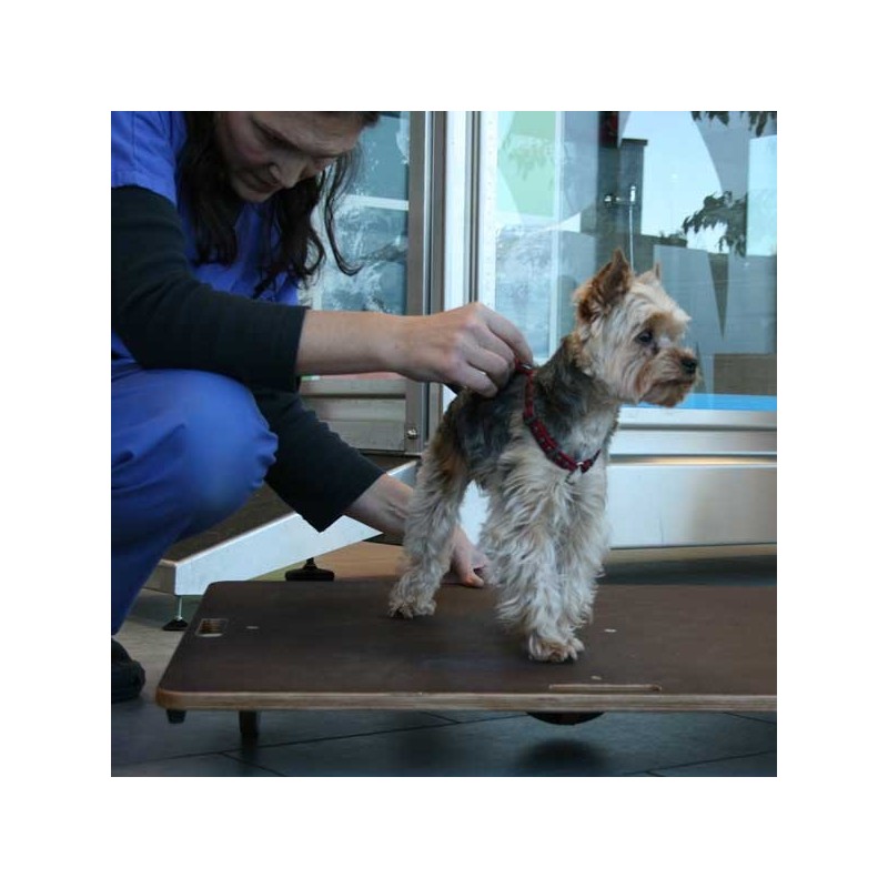 Planche d'équilibre de proprioception 3 en 1 pour animaux Planche d'équilibre de proprioception 3 en 1 pour animaux