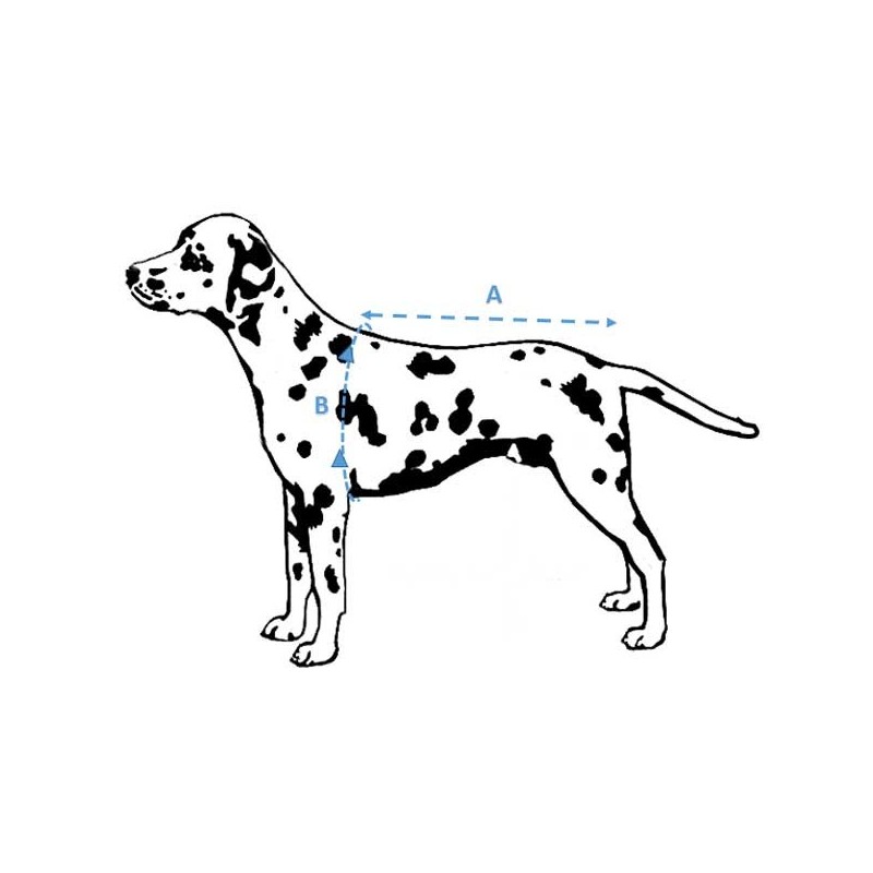 gilet de sauvetage pour chien et chat gilet flottabilité