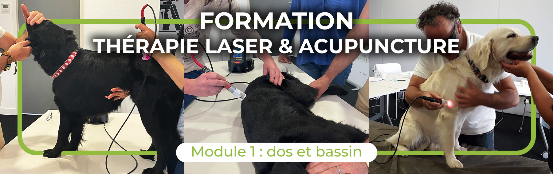 Therapie laser formations