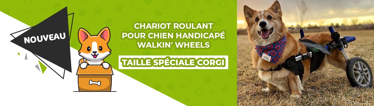 CHARIOT_ROULANT_POUR_CHIEN_HANDICAPÉ_WALKIN'_WHEELS_CORGI