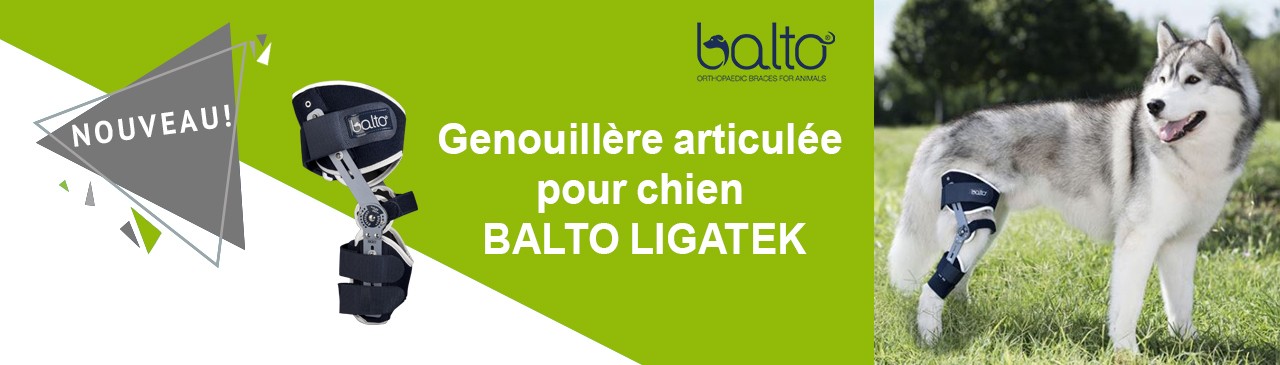 Genouillère articulée pour chien Balto Ligatek