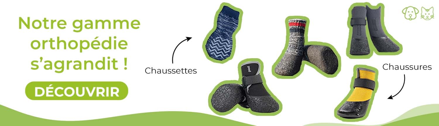 La gamme de chaussures s'agrandit !